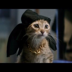 Meet your Posher, Noam